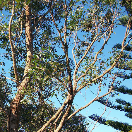 Laurence Williams Photo 24