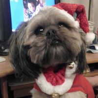 Annette Yancey Photo 6