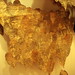 Binh Danh Photo 4