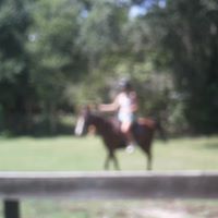 Joyce Kramer Photo 15