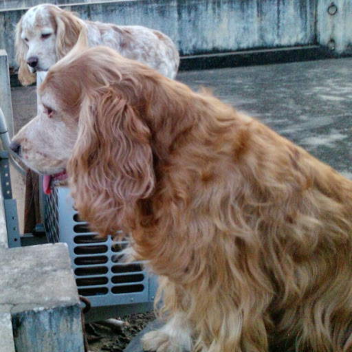 Simon Selvaraj Photo 2