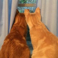 Janet Christman Photo 15