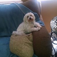 Tracey Schafer Photo 19