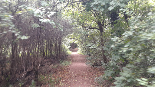 Dawn O'Brien Photo 13