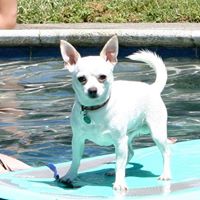 Christina Marks Photo 20