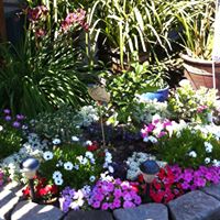 Dianna Swanson Photo 4