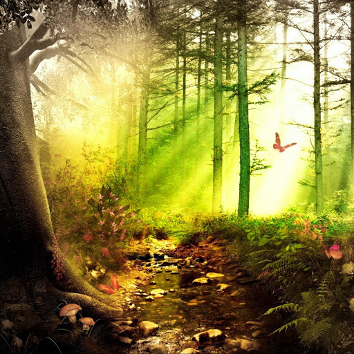 Bonita Brown Photo 38