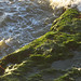 Gail Combs Photo 23