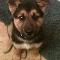 Samantha Mccool Photo 7