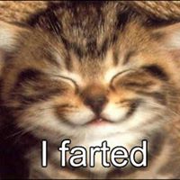 Carla Connor Photo 18