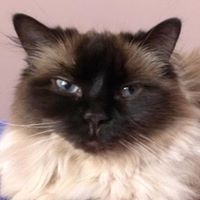 Mary Stanek Photo 24