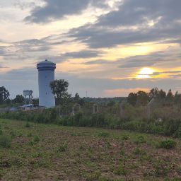 Anish Reddy Photo 18