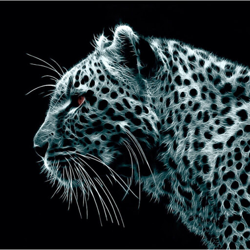 Matthew Mcclain Photo 37