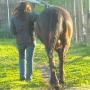 Christine Lester Photo 7