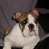 Debbie Carlson Photo 24