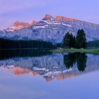 Corinna Robinson Photo 9