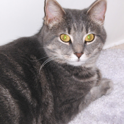 Claudia Wells Photo 18