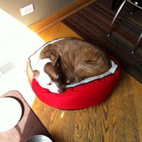 David Addis Photo 45