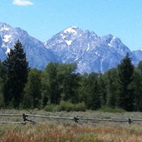 Deborah Jeffers Photo 7