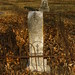 James Bobbitt Photo 35