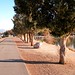 Virginia Lake Photo 18