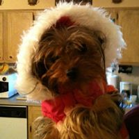 Luann Stewart Photo 15
