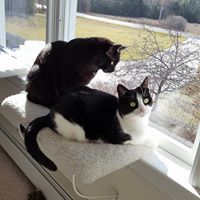 Julie Monroe Photo 18 Julie Monroe Photo 18