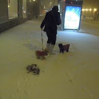 Barbara Robins Photo 12