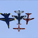 Angel Falcon Photo 35