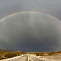 Larry Werner Photo 34