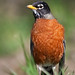 Robin Stoll Photo 21