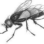 Melissa Cronin Photo 39