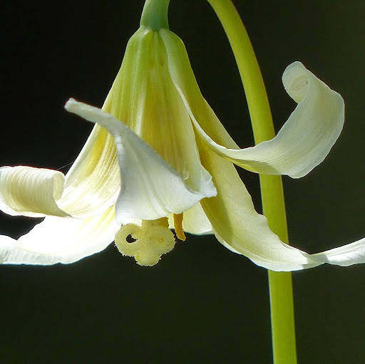 Penny Stewart Photo 19