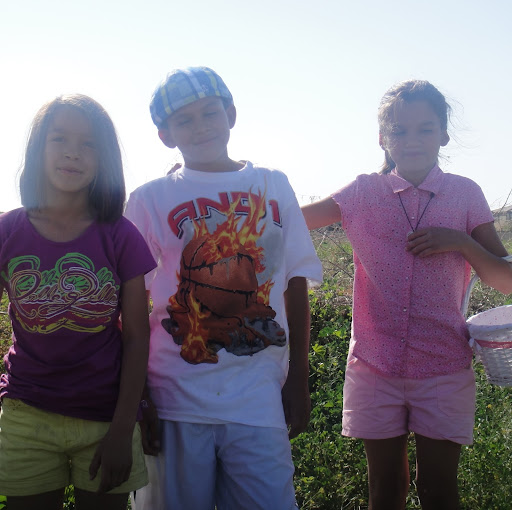 Cathy Romero Photo 12