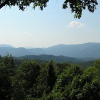 Pattie Brown Photo 23