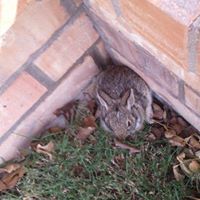 Julia Castaneda Photo 17