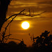 Dawn Abbott Photo 14