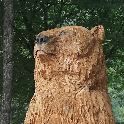 Eric Willems Photo 34