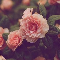 Lauren Townsend Photo 37