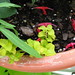 Jenny Root Photo 7