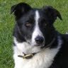 Kevin Whiting Photo 17