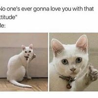 Phillip Baldwin Photo 13