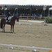 Debbie Mcdonald Photo 5