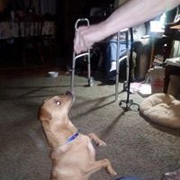 Marilyn Biggs Photo 7