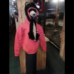 Susan Wiseman Photo 27 Susan Wiseman Photo 27