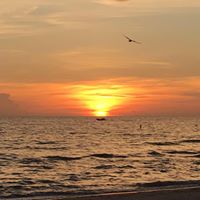 Amy Schmidt Photo 28