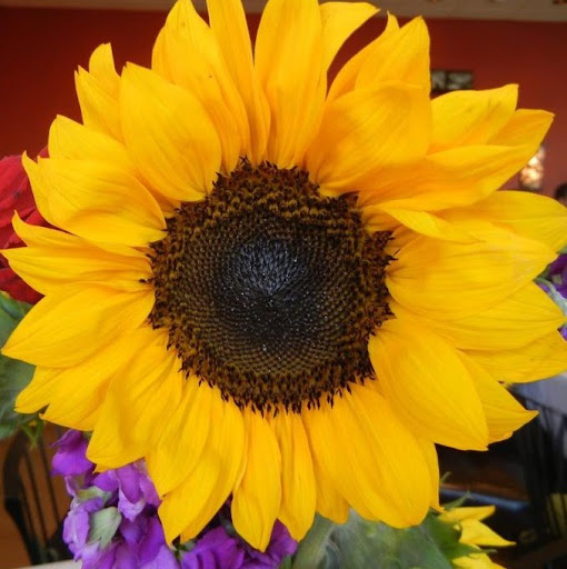 Christine Albert Photo 18