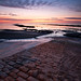 Robin Long Photo 34