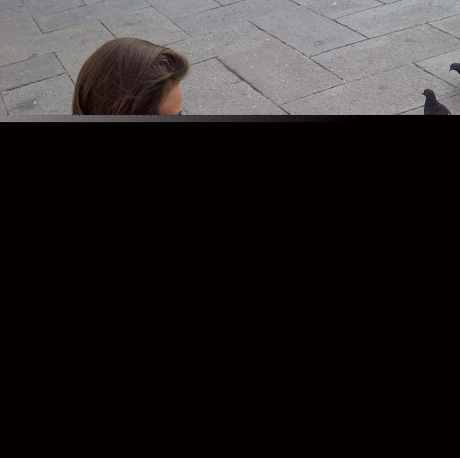 Julie Vanneste Photo 3