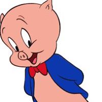 Steve Holly Photo 11